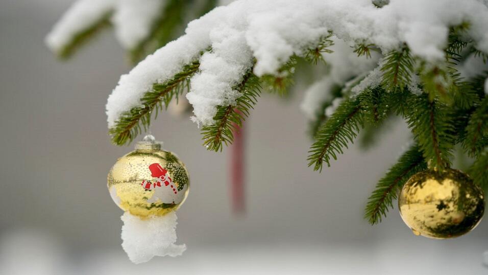 A Christmas tree caked in snow